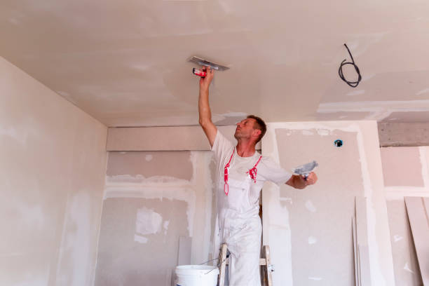 Best Residential Painting  in Wellman, IA