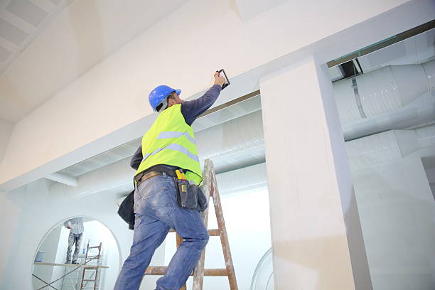 Best Fire-Damaged Drywall Repair  in Wellman, IA